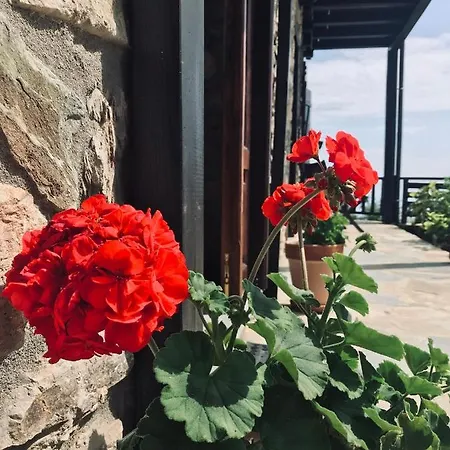 Melofegaro Ξενοδοχείο με διαμερίσματα 4*