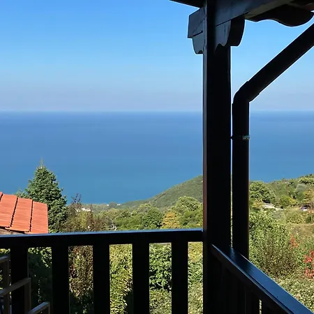 Melofegaro Παλαιός Παντελεήμων