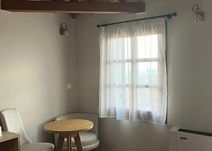 Melofegaro 帕莱斯潘蒂雷蒙