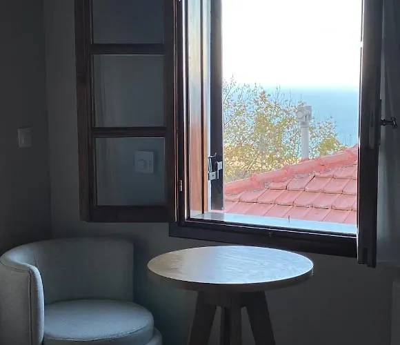 Melofegaro 帕莱斯潘蒂雷蒙