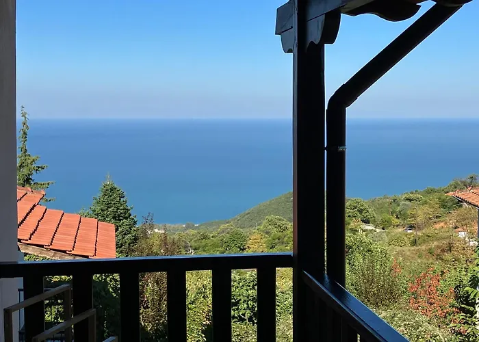 Melofegaro Παλαιός Παντελεήμων